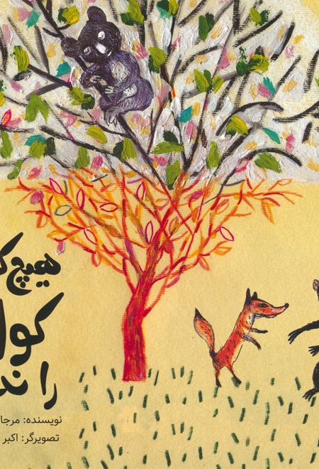 هیچ کس کوالا را ندید