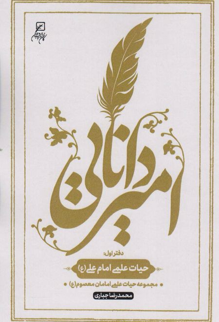 امیر دانایی