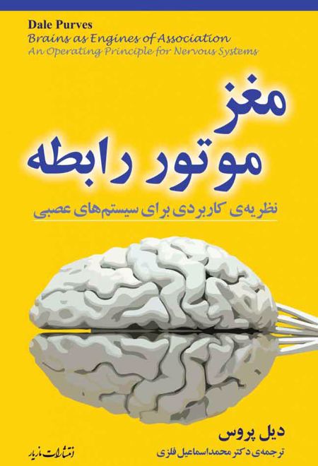 مغز: موتور رابطه