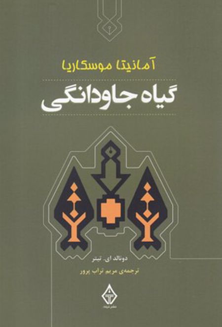 گیاه جاودانگی