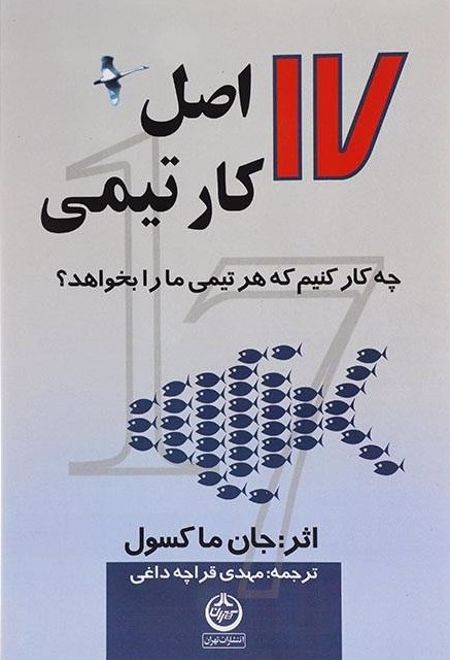 17 اصل کار تیمی