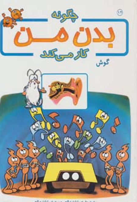 چگونه بدن من کار می کند 12