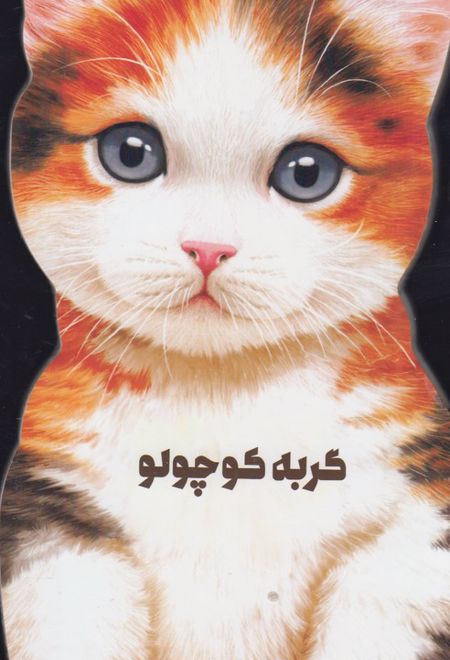 گربه کوچولو