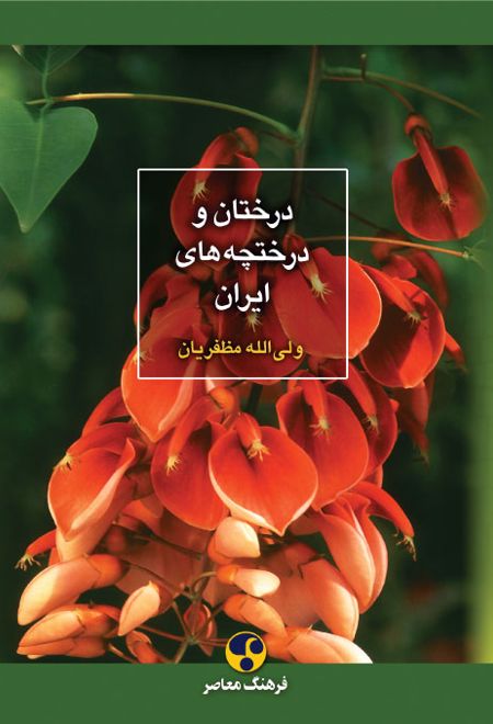 درختان و درختچه های ایران