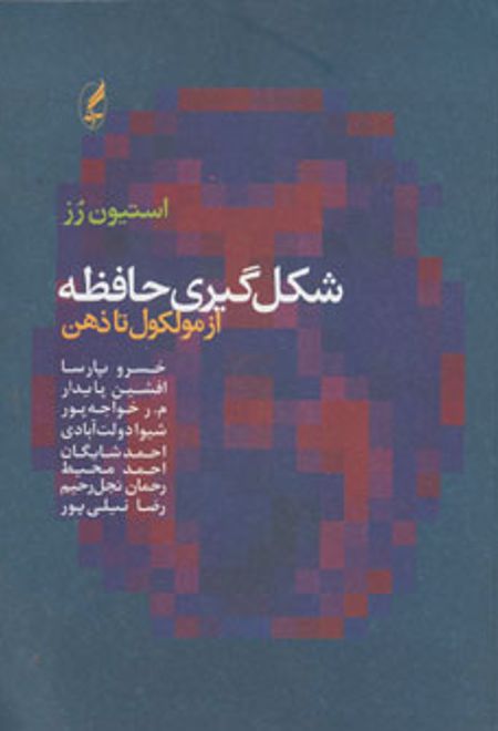 شکل گیری حافظه