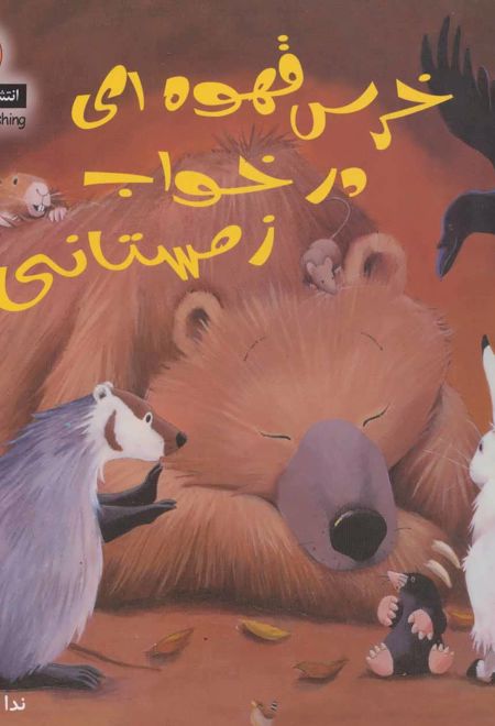 خرس قهوه ای در خواب زمستانی