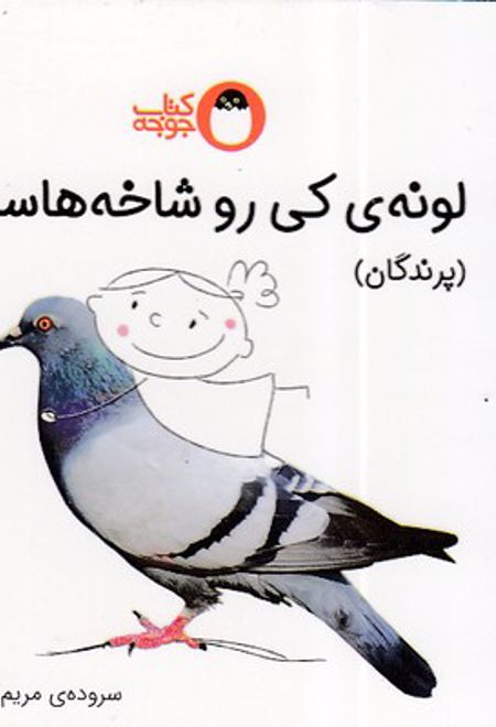 لونه ی کی رو شاخ هاست؟ (پرندگان)